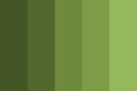 a green color palette with black and white stripes